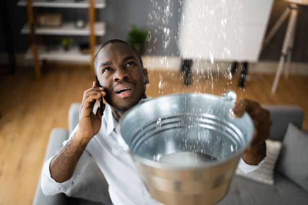 Best 24/7 water damage repair  in Marlinton, WV