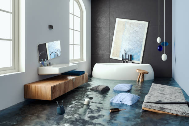 Best Local water damage restoration  in Marlinton, WV