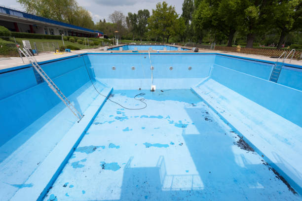Best Carpet water damage restoration  in Marlinton, WV