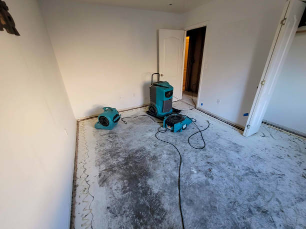 Best Flood damage cleanup  in Marlinton, WV