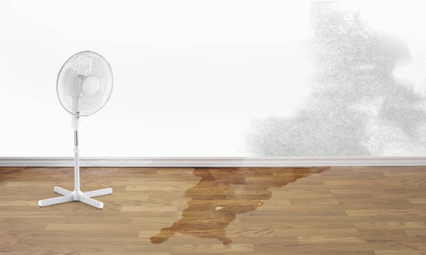 Sewage cleanup and water damage restoration in Marlinton, WV