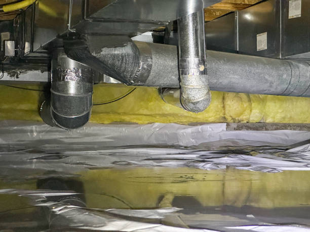 Best Flood restoration services  in Marlinton, WV