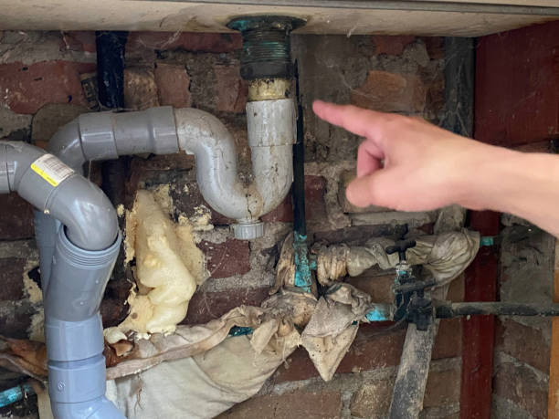Best Commercial water damage restoration  in Marlinton, WV
