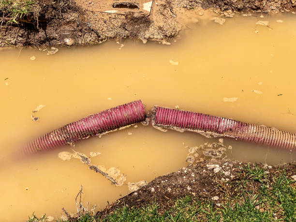 Water damage restoration insurance claims in Marlinton, WV