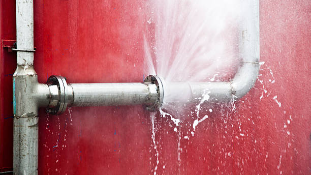  Marlinton, WV Water damage restoration Pros
