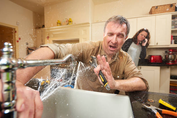 Best Fire Damage Restoration  in Marlinton, WV